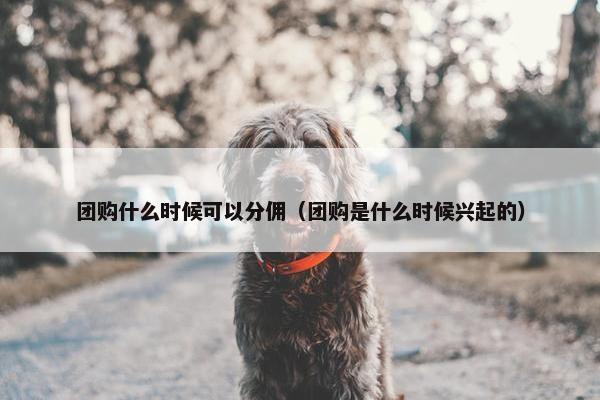 团购什么时候可以分佣（团购是什么时候兴起的）