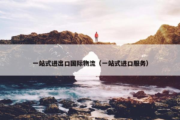 一站式进出口国际物流（一站式进口服务）