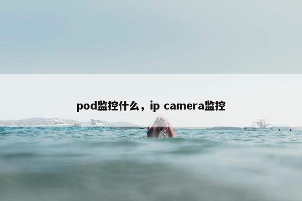 pod监控什么，ip camera监控