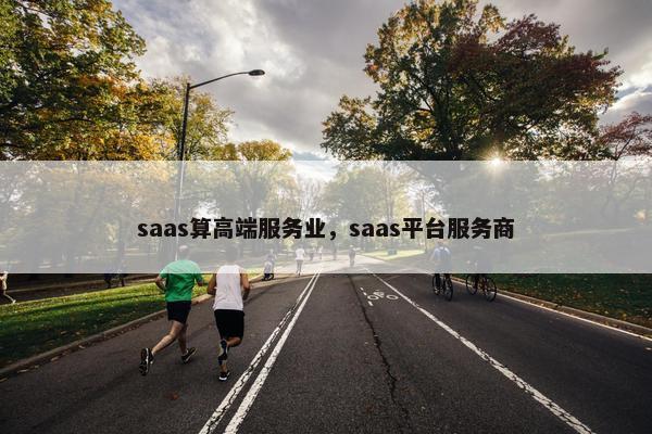 saas算高端服务业，saas平台服务商