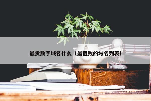 最贵数字域名什么（最值钱的域名列表）