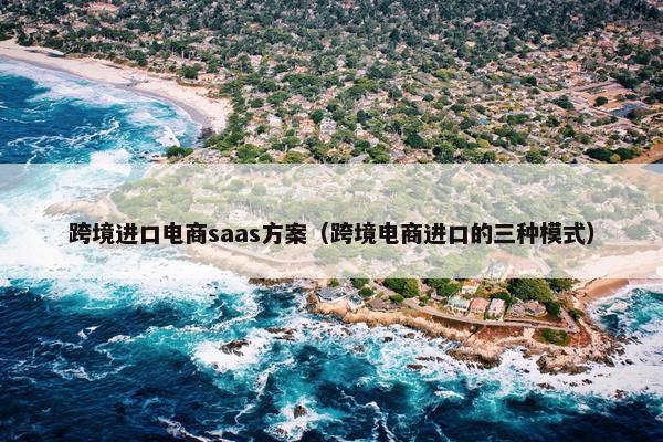 跨境进口电商saas方案（跨境电商进口的三种模式）
