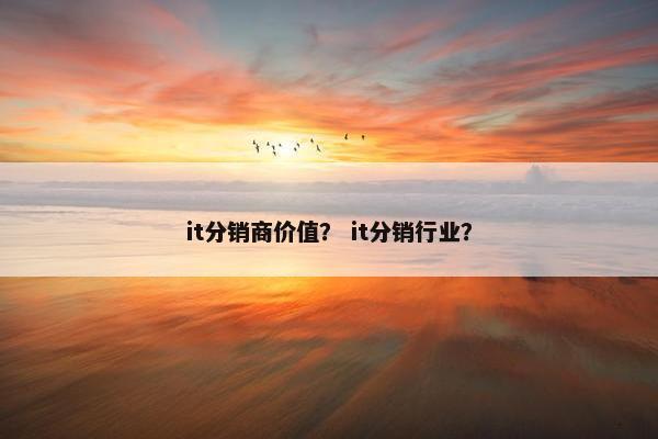 it分销商价值？ it分销行业？