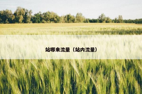 站哪来流量（站内流量）