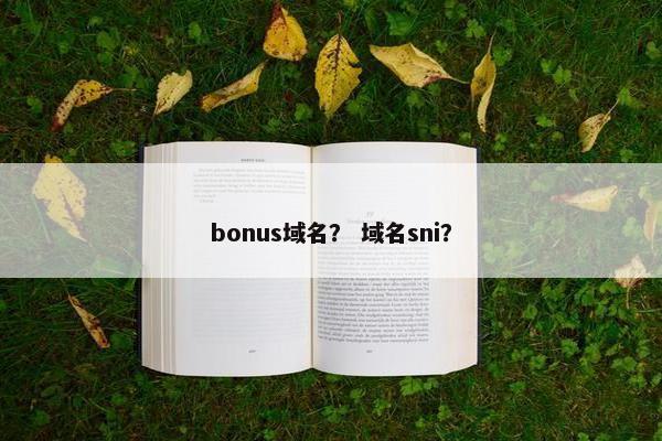 bonus域名？ 域名sni？