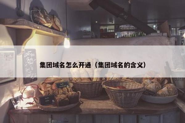 集团域名怎么开通（集团域名的含义）
