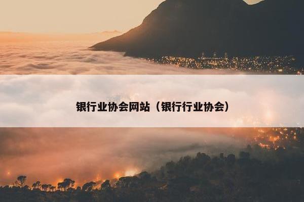 银行业协会网站（银行行业协会）