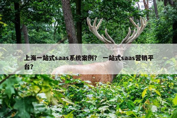 上海一站式saas系统案例？ 一站式saas营销平台？