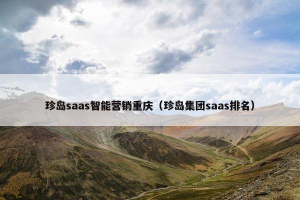 珍岛saas智能营销重庆（珍岛集团saas排名）