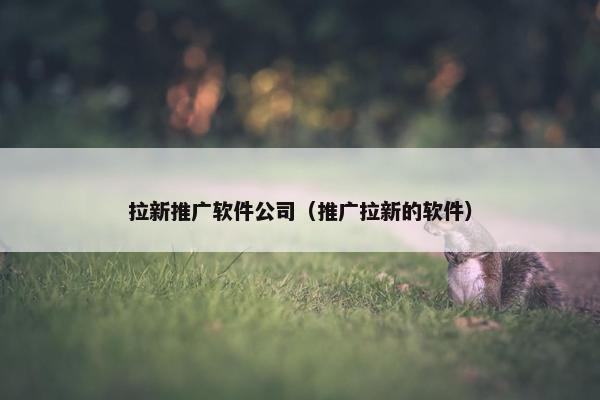 拉新推广软件公司（推广拉新的软件）