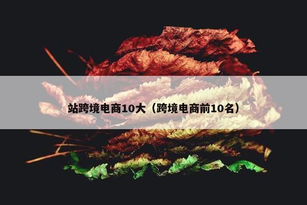 站跨境电商10大（跨境电商前10名）