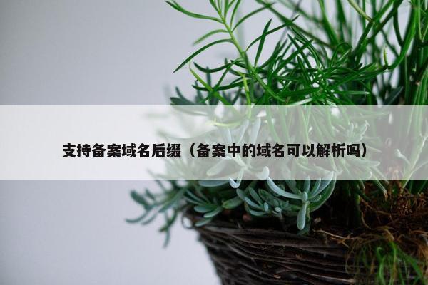 支持备案域名后缀（备案中的域名可以解析吗）