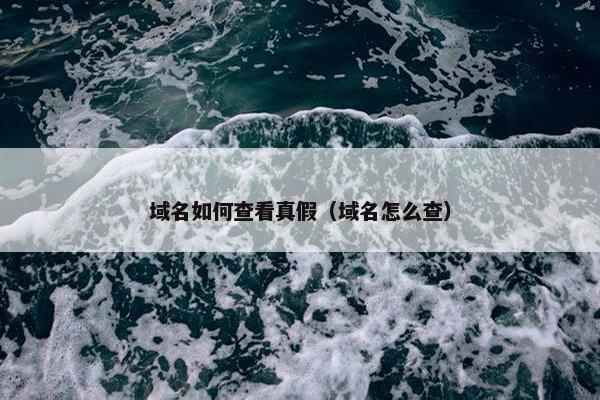 域名如何查看真假（域名怎么查）