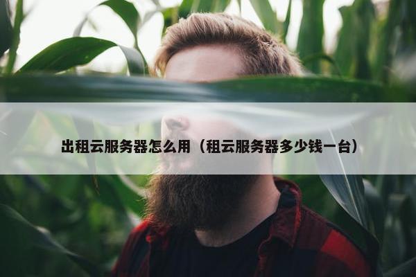出租云服务器怎么用（租云服务器多少钱一台）