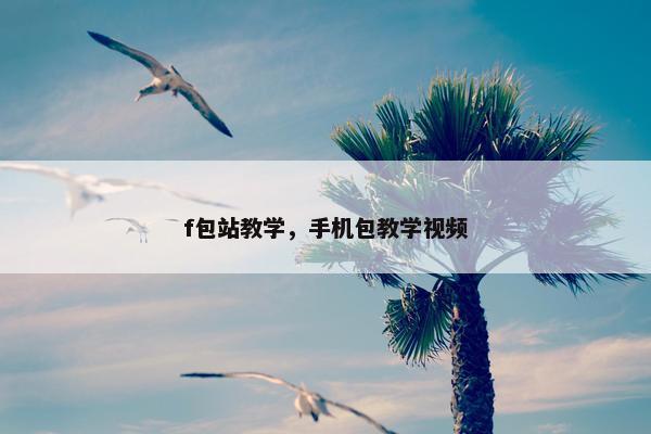 f包站教学，手机包教学视频