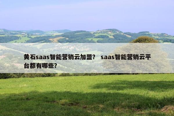 黄石saas智能营销云加盟？ saas智能营销云平台都有哪些？