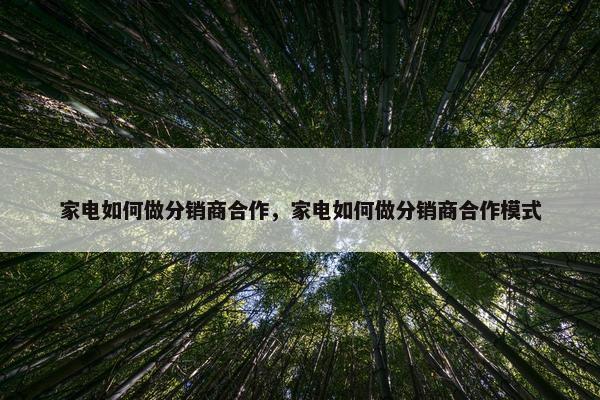 家电如何做分销商合作，家电如何做分销商合作模式
