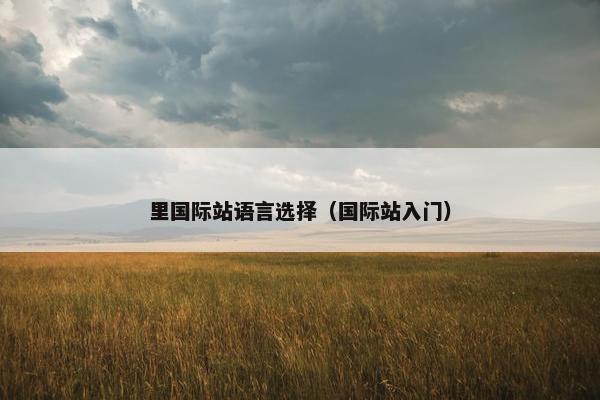 里国际站语言选择（国际站入门）