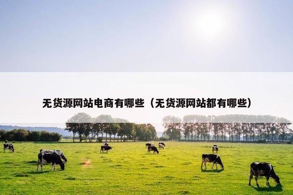 无货源网站电商有哪些（无货源网站都有哪些）