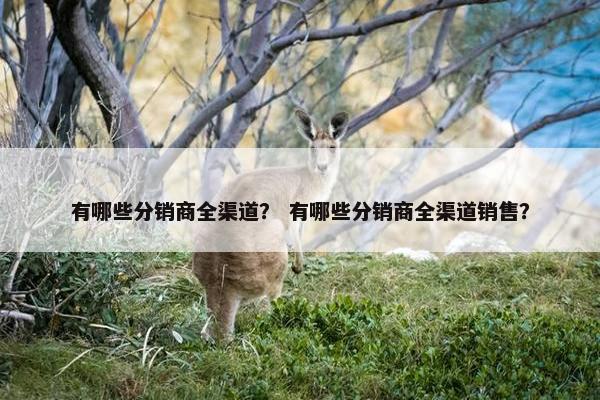 有哪些分销商全渠道？ 有哪些分销商全渠道销售？