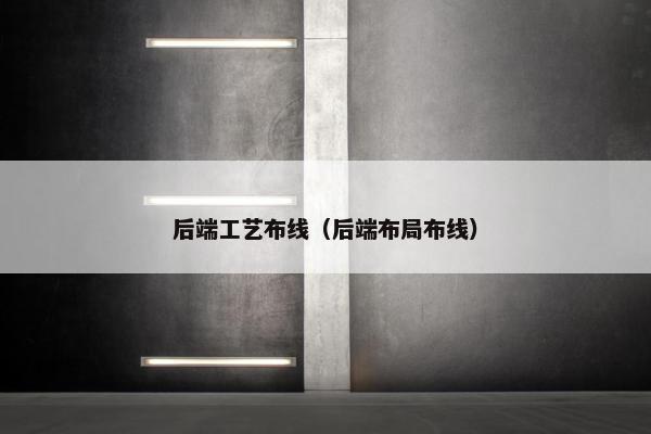 后端工艺布线（后端布局布线）