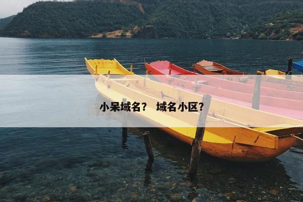小呆域名？ 域名小区？