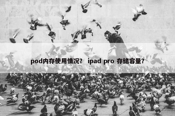 pod内存使用情况？ ipad pro 存储容量？