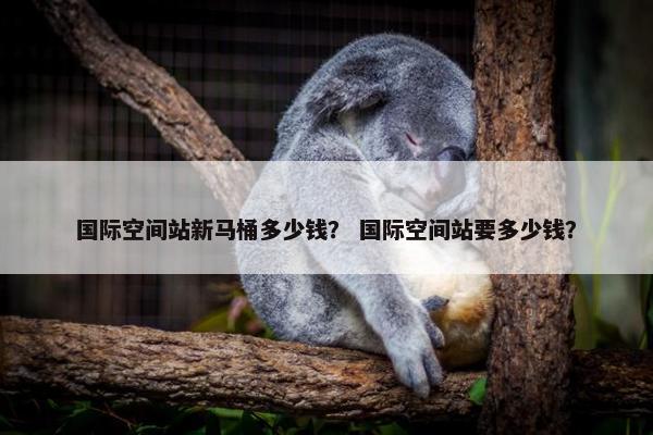 国际空间站新马桶多少钱？ 国际空间站要多少钱？