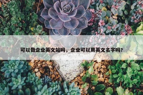 可以做企业英文站吗，企业可以用英文名字吗?