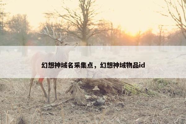 幻想神域名采集点，幻想神域物品id