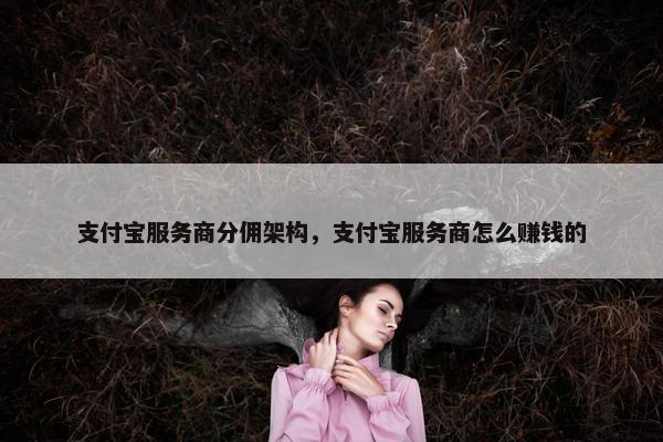 支付宝服务商分佣架构，支付宝服务商怎么赚钱的