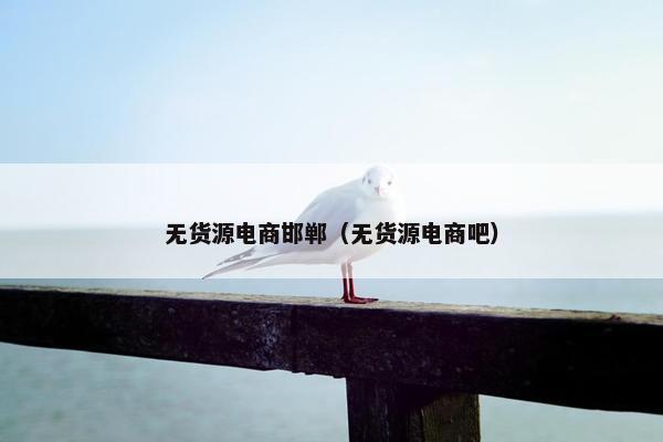 无货源电商邯郸（无货源电商吧）