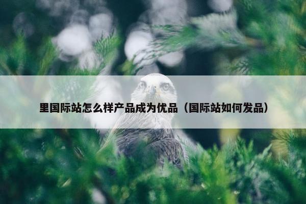 里国际站怎么样产品成为优品（国际站如何发品）