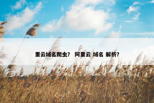 里云域名爬虫？ 阿里云 域名 解析？