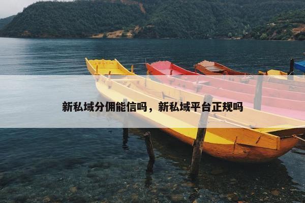 新私域分佣能信吗，新私域平台正规吗