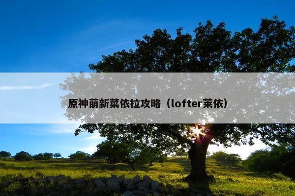 原神萌新菜依拉攻略（lofter莱依）