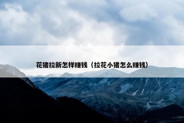 花猪拉新怎样赚钱（拉花小猪怎么赚钱）