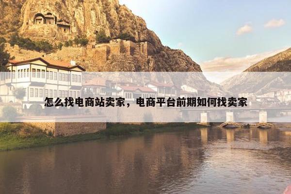 怎么找电商站卖家，电商平台前期如何找卖家