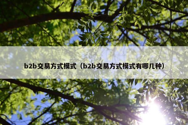 b2b交易方式模式（b2b交易方式模式有哪几种）