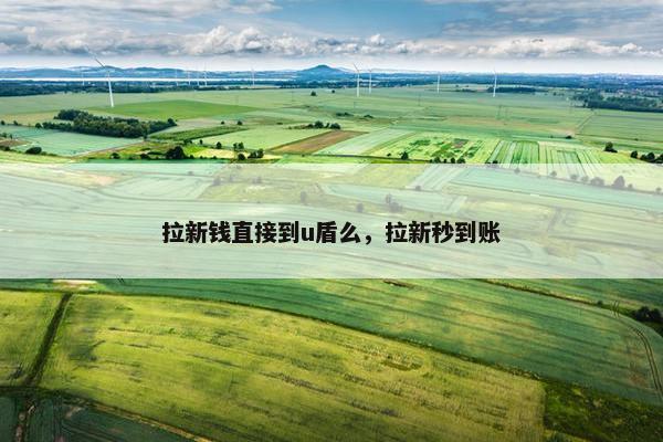 拉新钱直接到u盾么，拉新秒到账