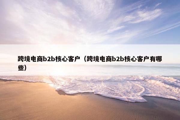 跨境电商b2b核心客户（跨境电商b2b核心客户有哪些）