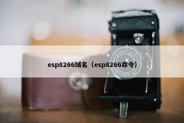 esp8266域名（esp8266命令）