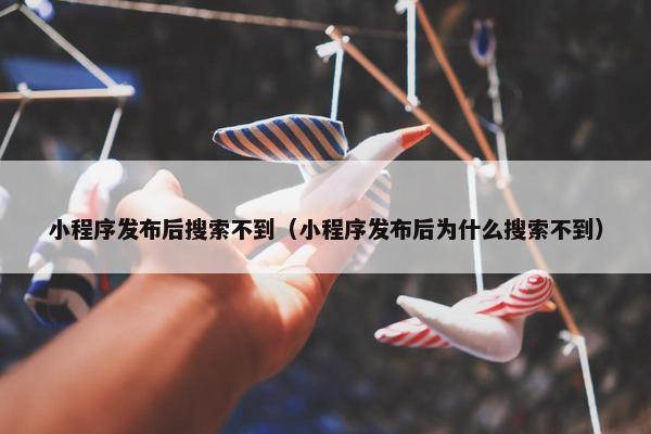 小程序发布后搜索不到（小程序发布后为什么搜索不到）