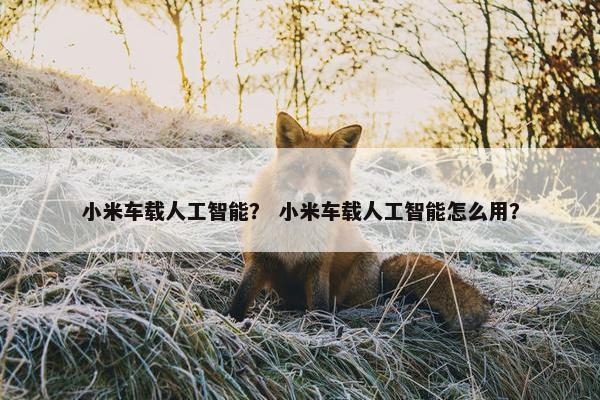小米车载人工智能？ 小米车载人工智能怎么用？