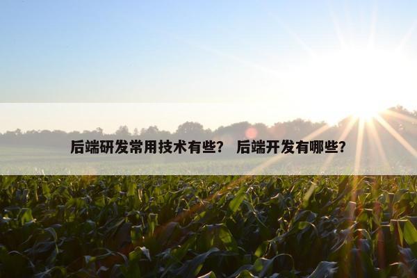 后端研发常用技术有些？ 后端开发有哪些？