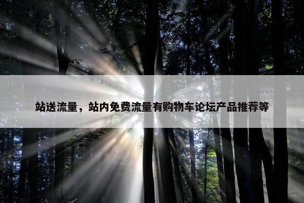站送流量，站内免费流量有购物车论坛产品推荐等