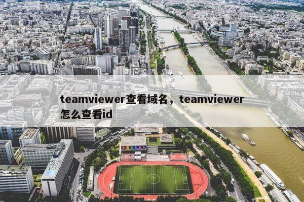 teamviewer查看域名，teamviewer怎么查看id