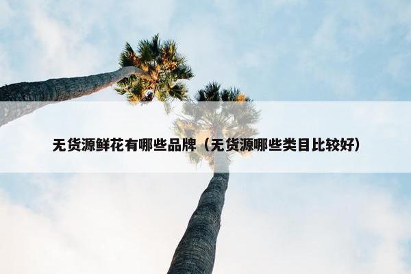 无货源鲜花有哪些品牌（无货源哪些类目比较好）