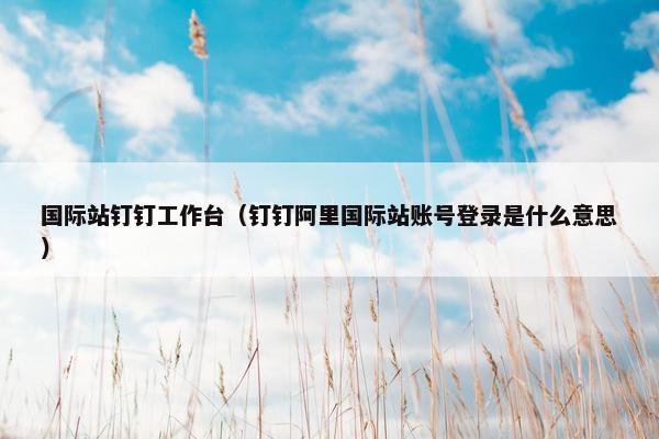 国际站钉钉工作台（钉钉阿里国际站账号登录是什么意思）