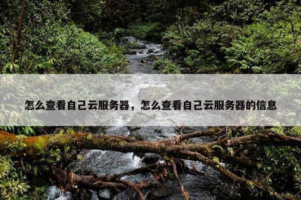 怎么查看自己云服务器，怎么查看自己云服务器的信息